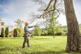 Reliable Atlantis, FL Tree Removal and Landscaping Services Solutions